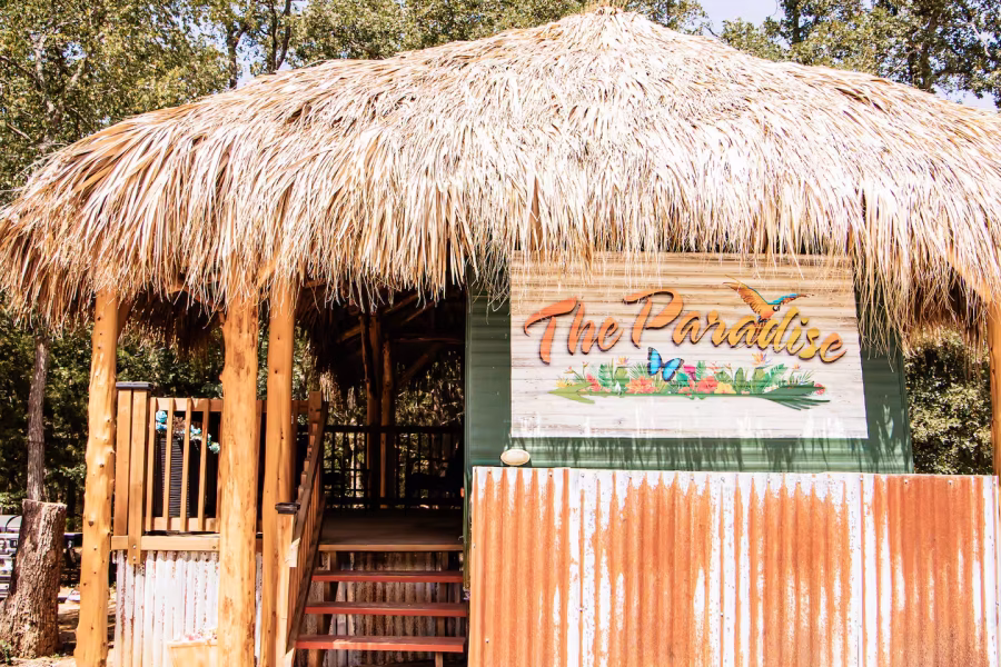 the-paradise.avif